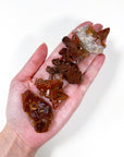 'OXBLOOD' HEMATITE IN QUARTZ CLUSTER - Black Friday sale, hematite, hematite in quartz, hematoid quartz, oxblood hematite in quartz, quartz cluster, raw crystal, raw point, raw stone, rough crystal, Rough Stone - The Mineral Maven