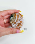 PICK YOUR OWN: 8TH VEIN OCEAN JASPER PALM STONE (EXTRA GRADE) - 8th vein, Black Friday sale, emotional support, ocean jasper, palm stone, palmstone, tucson update - The Mineral Maven