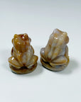 PICK YOUR OWN: CHALCEDONY JASPER SITTING FROG - 6th anniversary, chalcedony jasper, crystal critter, crystal frog, frog, sitting frog - The Mineral Maven
