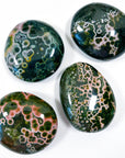 PICK YOUR OWN: KABAMBY OCEAN JASPER PALM STONE (1st QUALITY) - Black Friday sale, emotional support, kabamby, kabamby ocean jasper, north carolina gem show, ocean jasper, palm stone, palmstone - The Mineral Maven