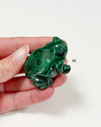 PICK YOUR OWN: MALACHITE FROG - 6th anniversary, crystal critter, crystal frog, frog, malachite, medium frog, polished, polished stone - The Mineral Maven