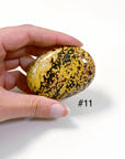 PICK YOUR OWN: 'VEINLESS' OCEAN JASPER PALM STONE (1st QUALITY) - Black Friday sale, emotional support, north carolina gem show, ocean jasper, palm stone, palmstone, veinless, veinless ocean jasper - The Mineral Maven