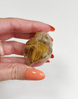 PICK YOUR OWN: WINDOW QUARTZ - 33 bday, 444 sale, Black Friday sale, focus gift bundle, herkimer diamond, holiday sale, new year sale, pakimer, quartz, raw crystal, raw stone, rough, rough crystal, Rough Stone, transform gift bundle, window quartz - The Mineral Maven