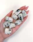 RAINBOW MOONSTONE TUMBLE - 2025 vibes, 33 bday, Black Friday sale, bulk, calm gift bundle, emotional support, end of year sale, fertility, holiday sale, joy gift bundle, moonstone, new beginnings, new beginnings gift bundle, new year sale, pocket crystal, pocket stone, rainbow moonstone, spring things, tumble - The Mineral Maven