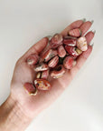 RHODOCHROSITE TUMBLE - 33 bday, Black Friday sale, bulk, end of year sale, flash sale, holiday sale, love gift bundle, new year sale, pocket crystal, rhodochrosite, spring equinox, spring things, tumble, valentine's day - The Mineral Maven