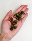 UNAKITE JASPER MINI MUSHROOM - 33 bday, 444 sale, Black Friday sale, crystal mushroom, end of year sale, fertility, holiday sale, mini mushroom, mushroom, new year sale, pocket crystal, pocket stone, polished, spring equinox, unakite, unakite jasper, update - The Mineral Maven