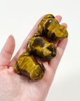 TIGER'S EYE FROG