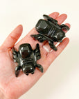 PICK YOUR OWN: ONYX SPIDER (MEDIUM)