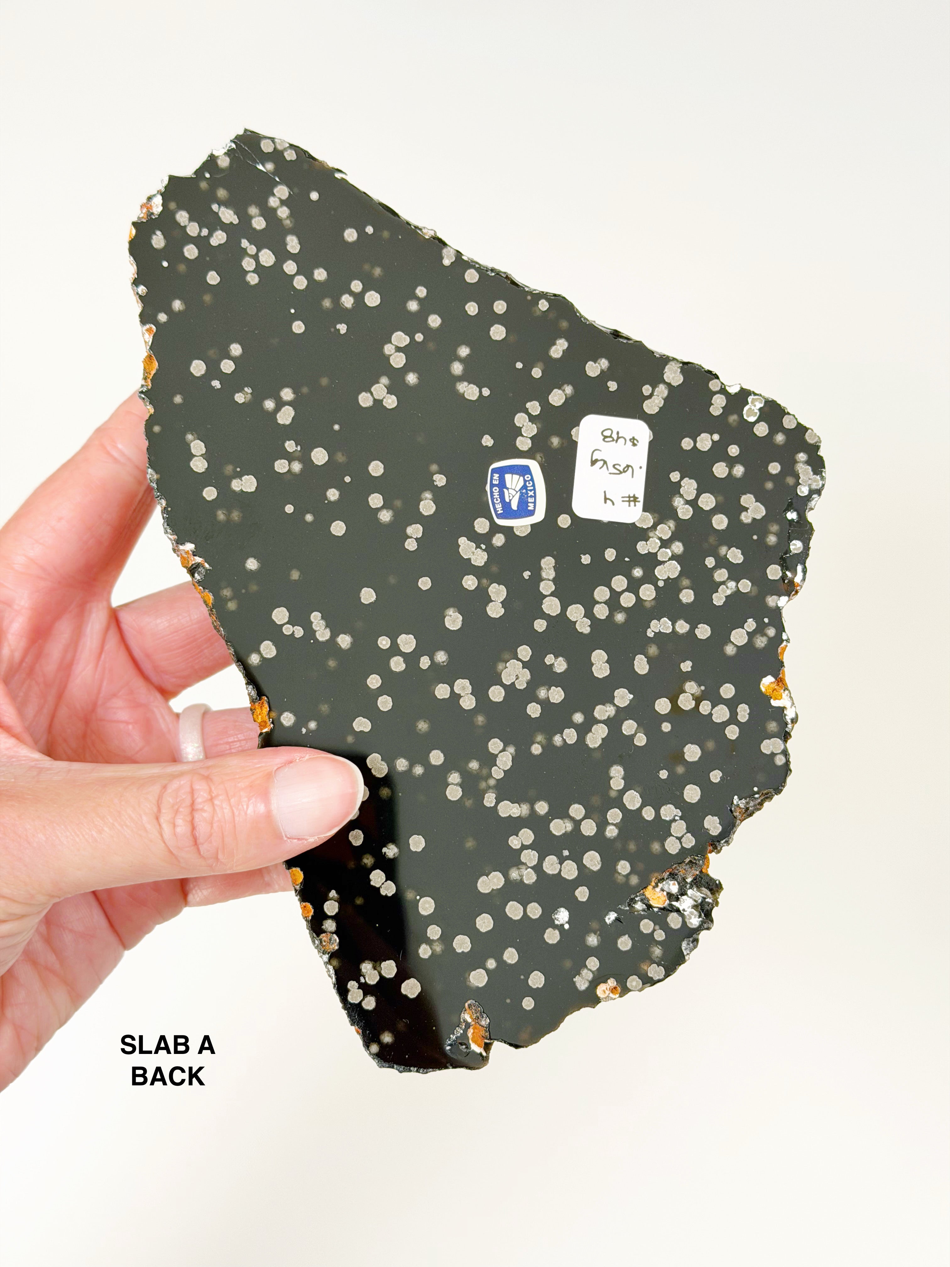 PICK YOUR OWN: STARDUST OBSIDIAN SLAB