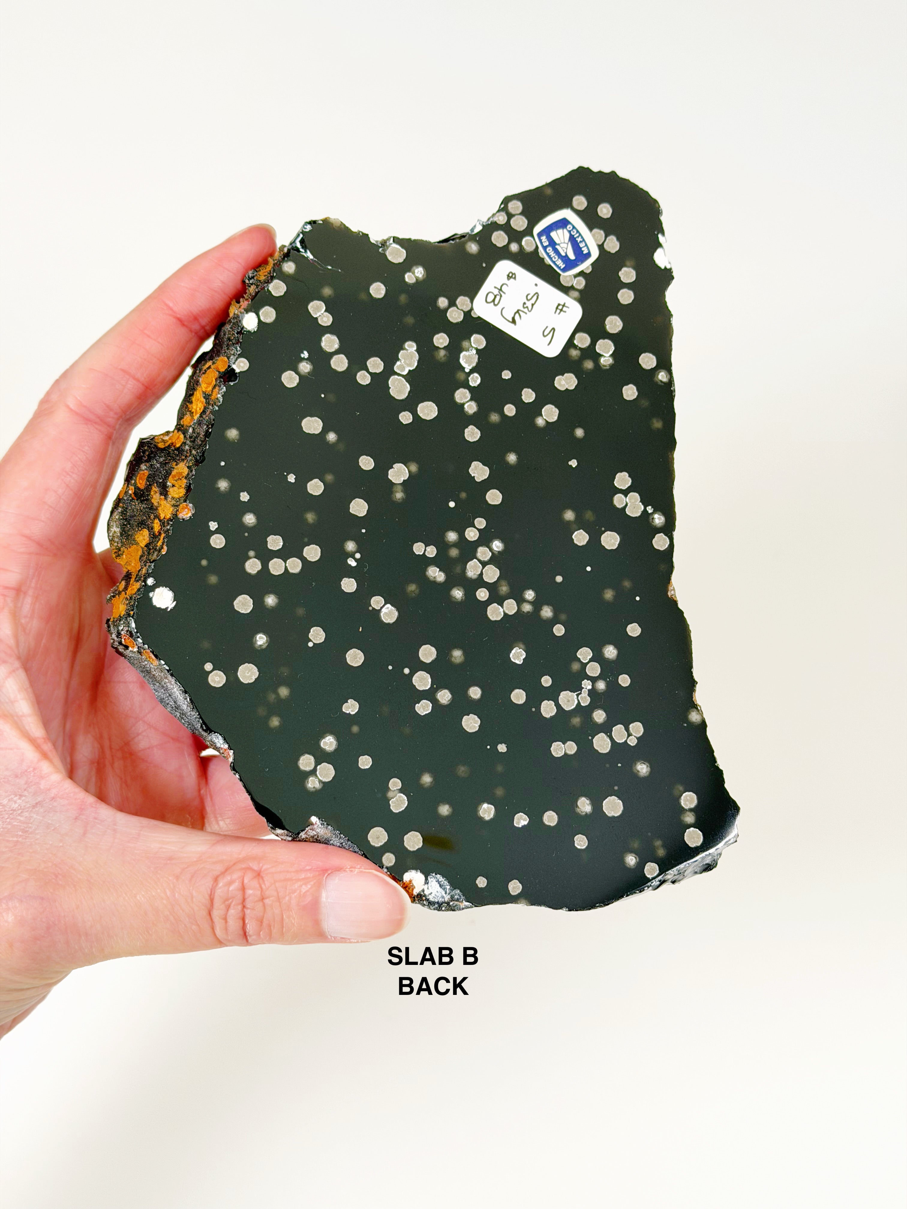 PICK YOUR OWN: STARDUST OBSIDIAN SLAB