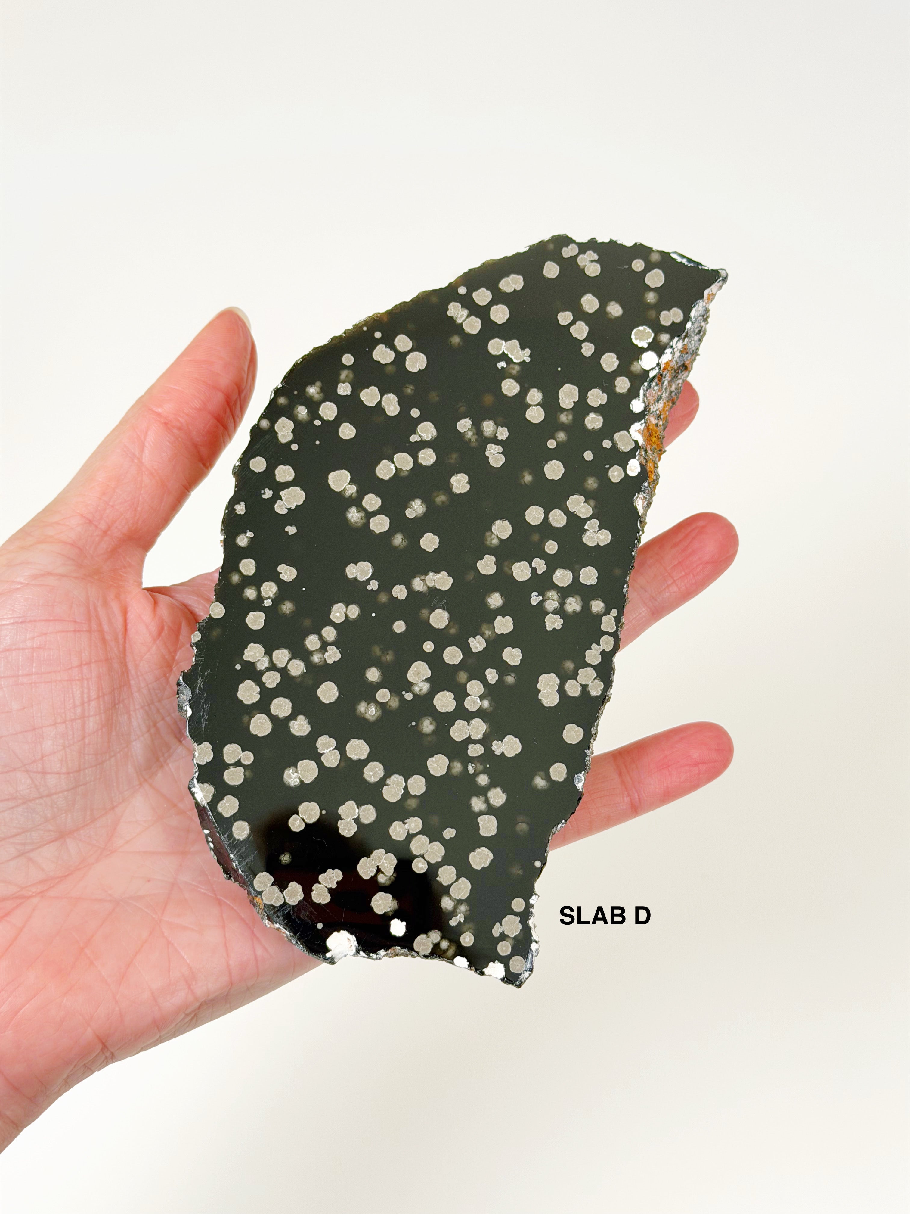 PICK YOUR OWN: STARDUST OBSIDIAN SLAB