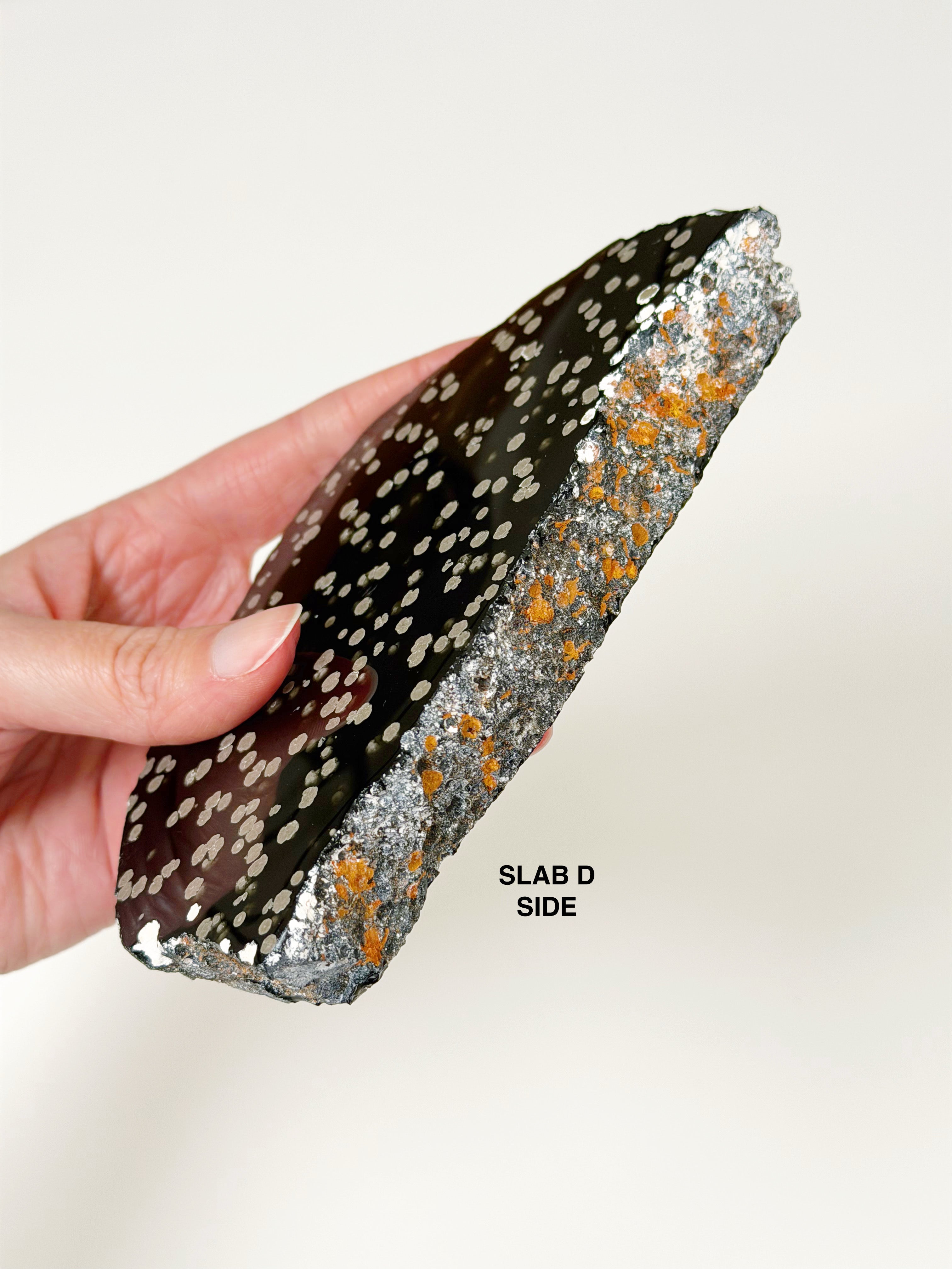 PICK YOUR OWN: STARDUST OBSIDIAN SLAB