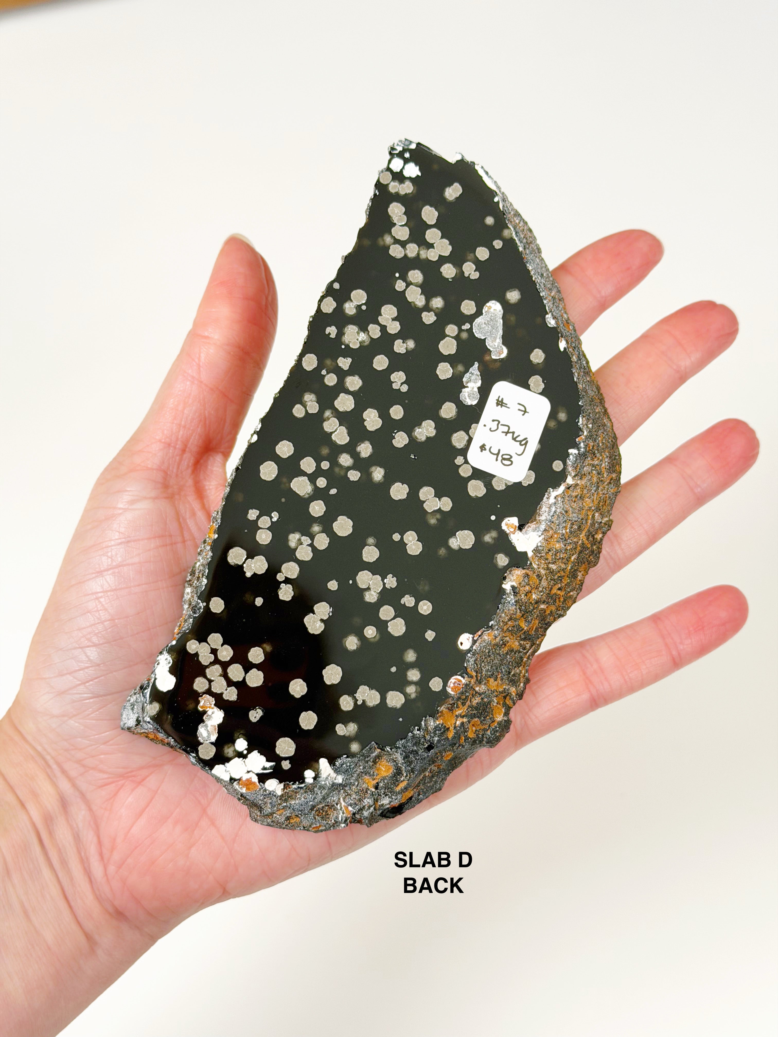 PICK YOUR OWN: STARDUST OBSIDIAN SLAB