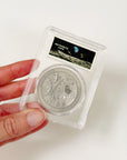 MUONIONLUSTA METEORITE COINS
