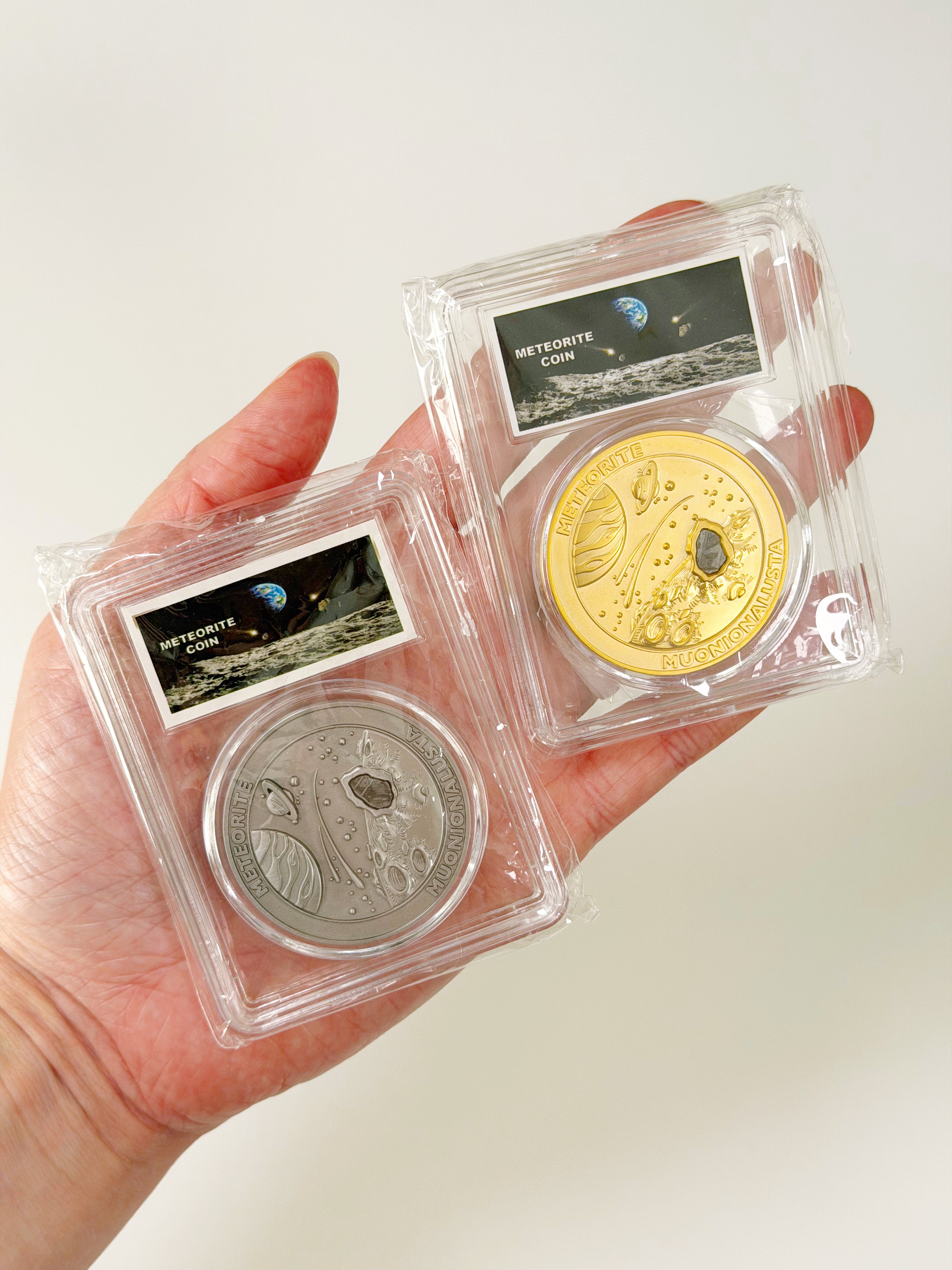MUONIONLUSTA METEORITE COINS