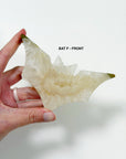 PICK YOUR OWN: DRUZY AGATE BAT