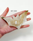 PICK YOUR OWN: DRUZY AGATE BAT