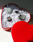 'STEADFAST & SUPPORTED' HEART TIN SET ($11 GIVEN TO NDLON)