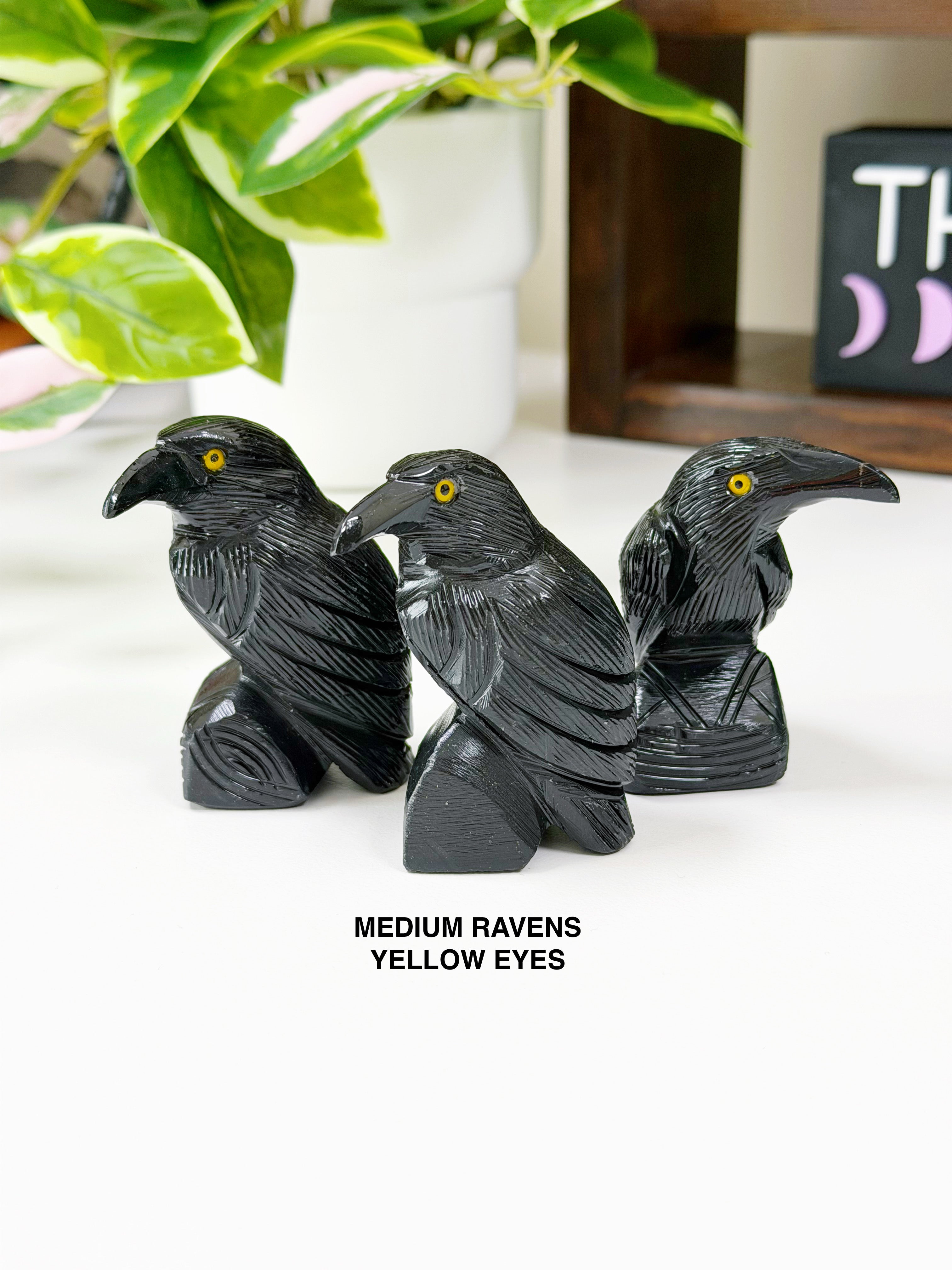 ONYX RAVEN