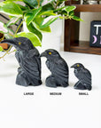 ONYX RAVEN