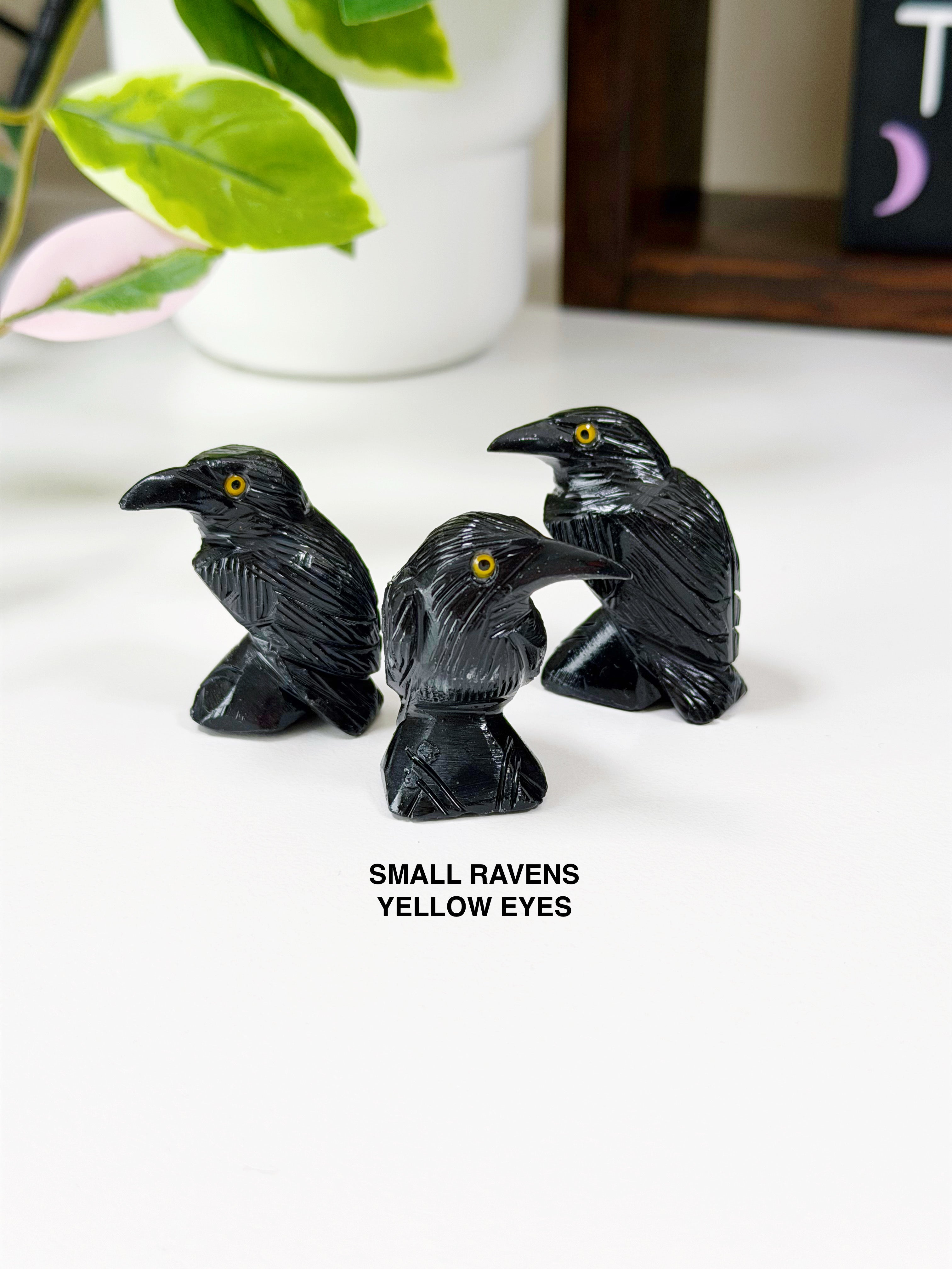 ONYX RAVEN