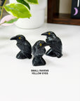 ONYX RAVEN