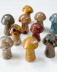 SOAPSTONE MUSHROOM (SMALL)