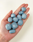 ANGELITE CHONK