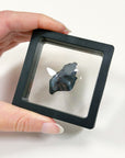 SIKHOTE-ALIN METEORITE 1