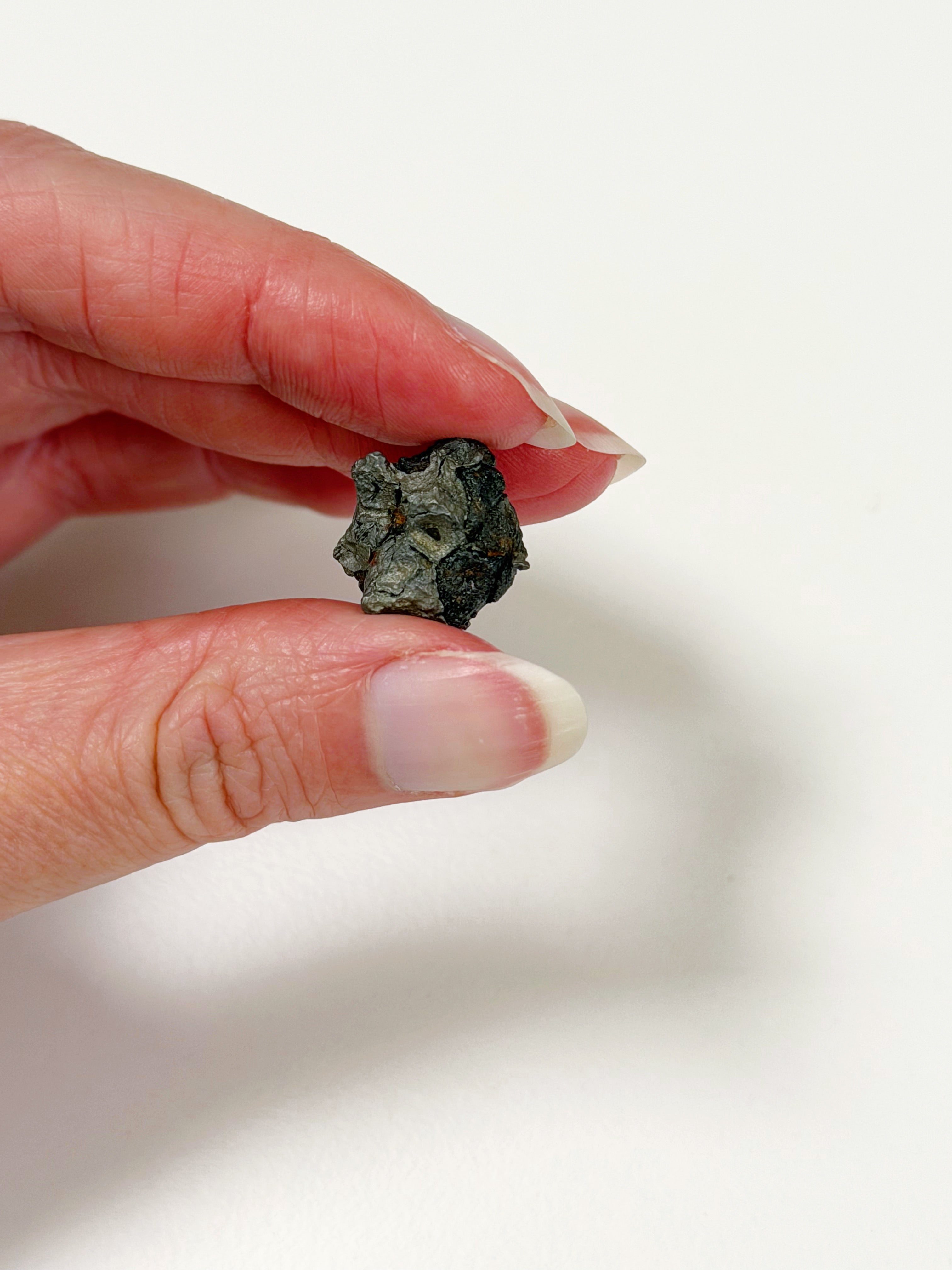 SERICHO METEORITE 1