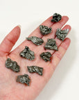 CAMPO DEL CIELO METEORITE