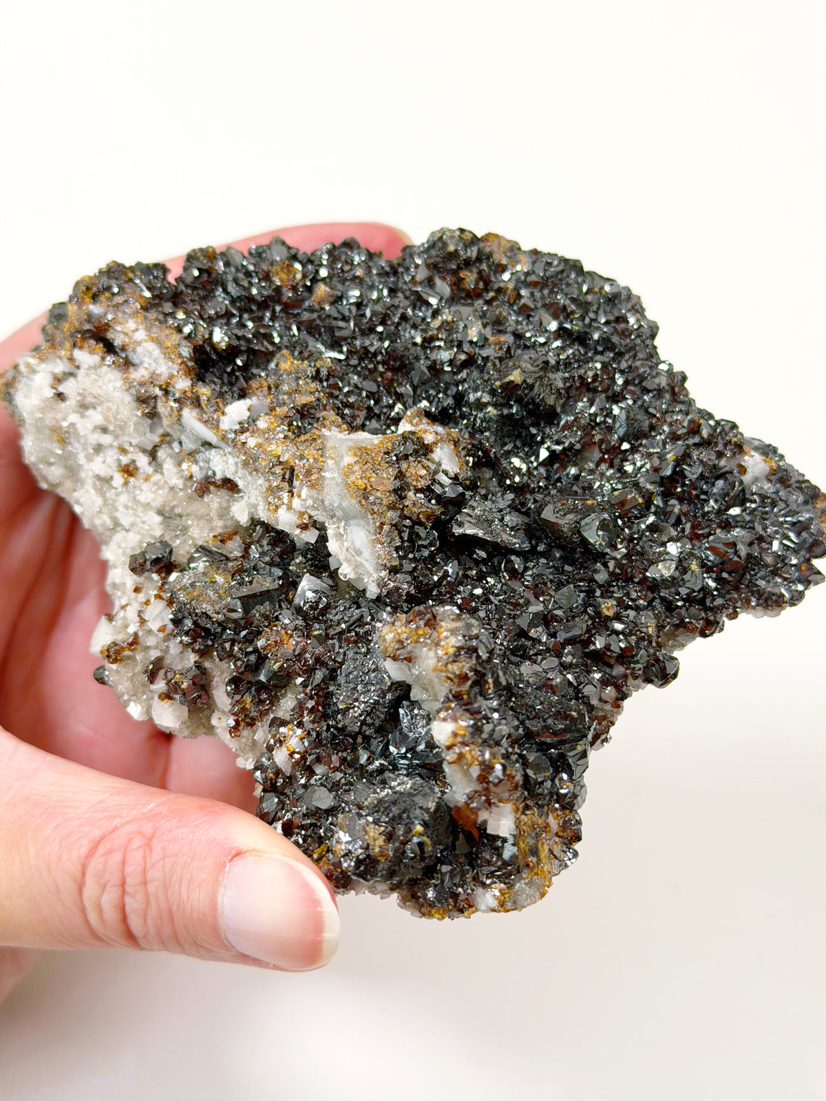 ELMWOOD 1 (SPHALERITE/DOLOMITE)