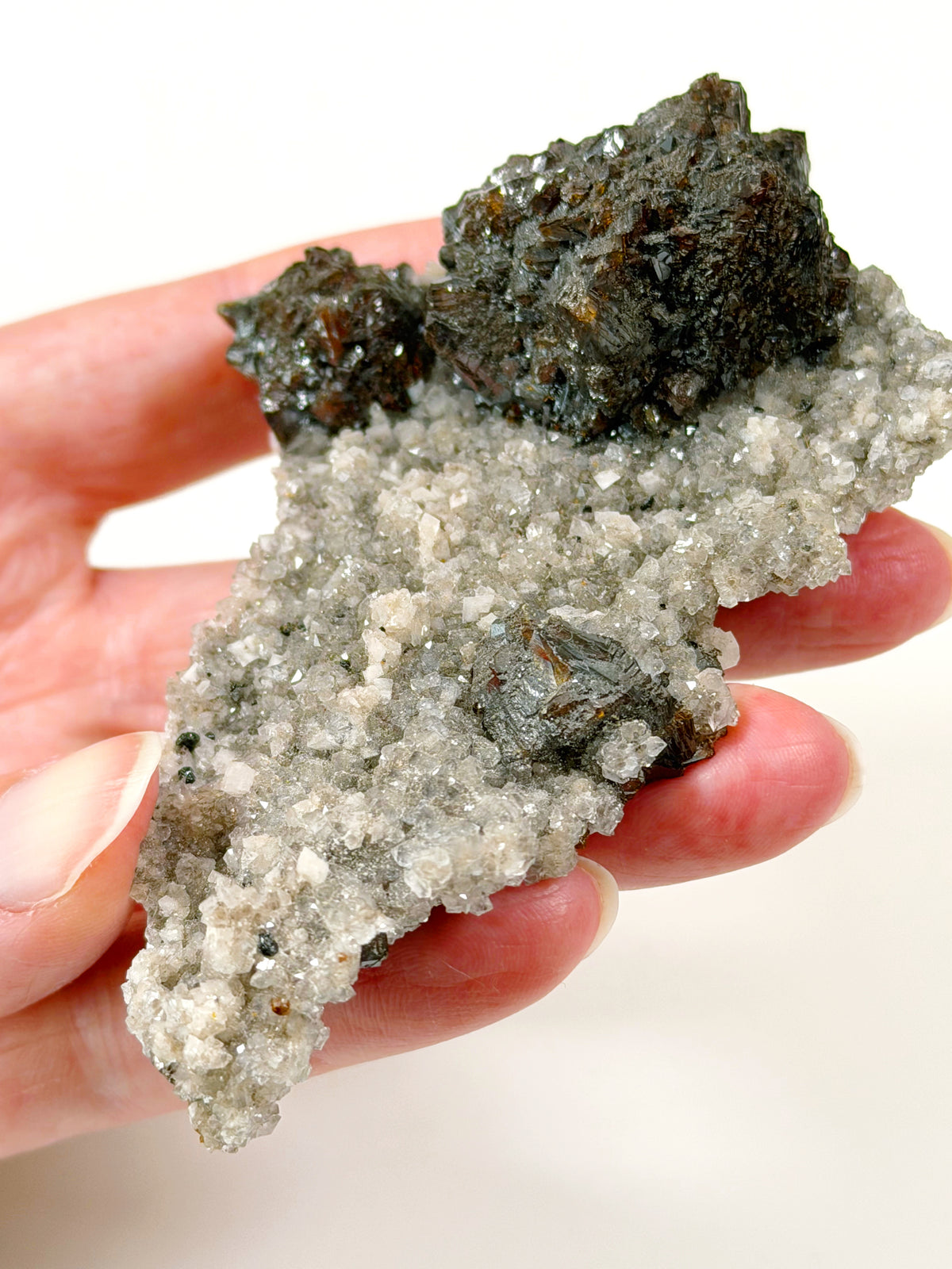 ELMWOOD 2  (SPHALERITE/DOLOMITE/CALCITE)