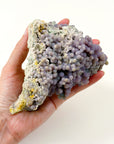 GRAPE AGATE 1
