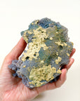 GRAPE AGATE 2