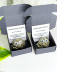 ABUNDANCE BUDDY - 2025 vibes, abundance buddy, aries, career, crystal buddy, good luck + abundance, holiday vibes, peruvian pyrite, pyrite - The Mineral Maven