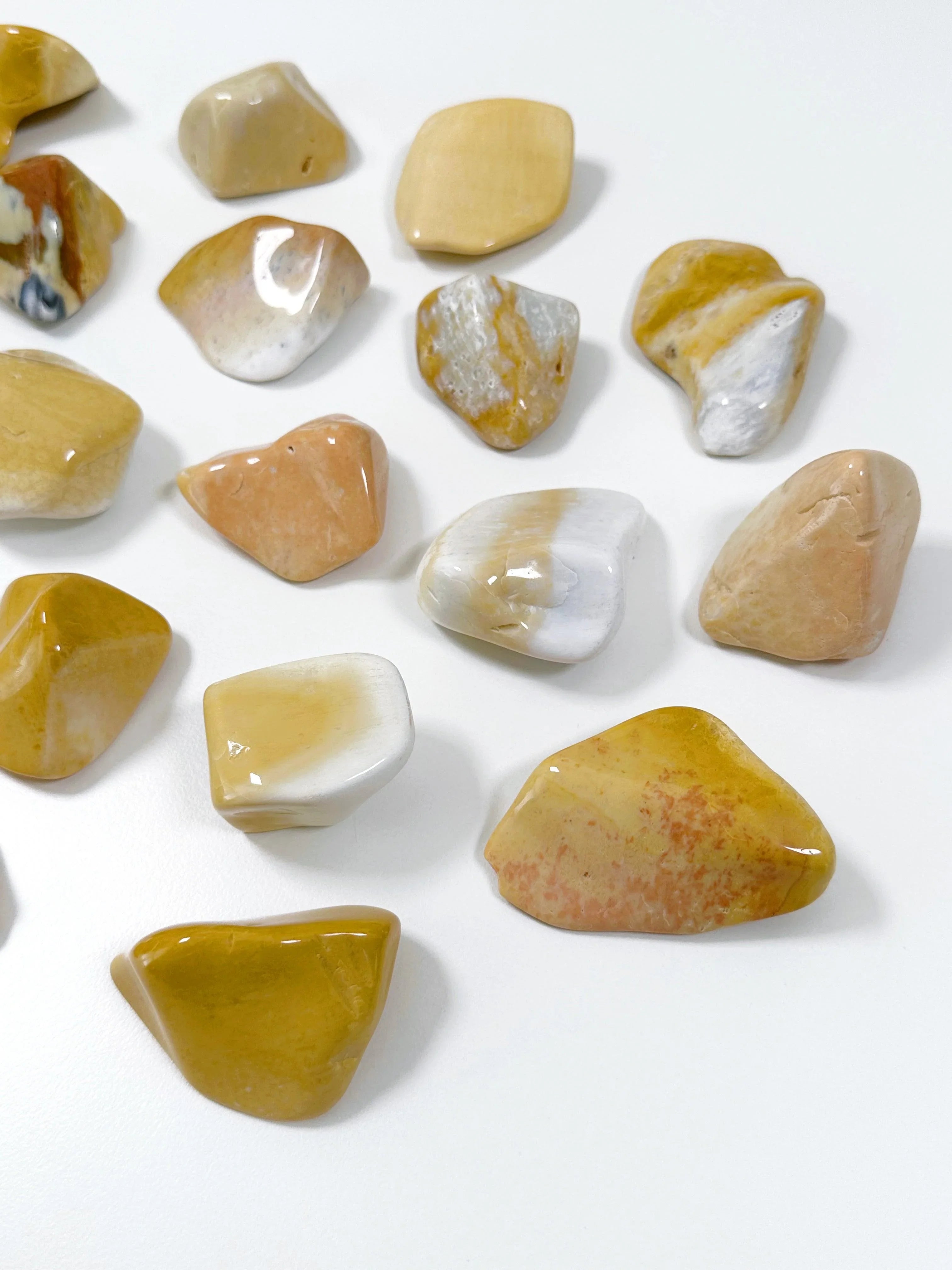 AGATIZED CORAL XL TUMBLE - agatized coral, Black Friday sale, coral, coral fossil, emotional support, fossil coral, pocket crystal, pocket crystals, pocket stone, tumble, tumbled, tumbled stone, tumbles - The Mineral Maven