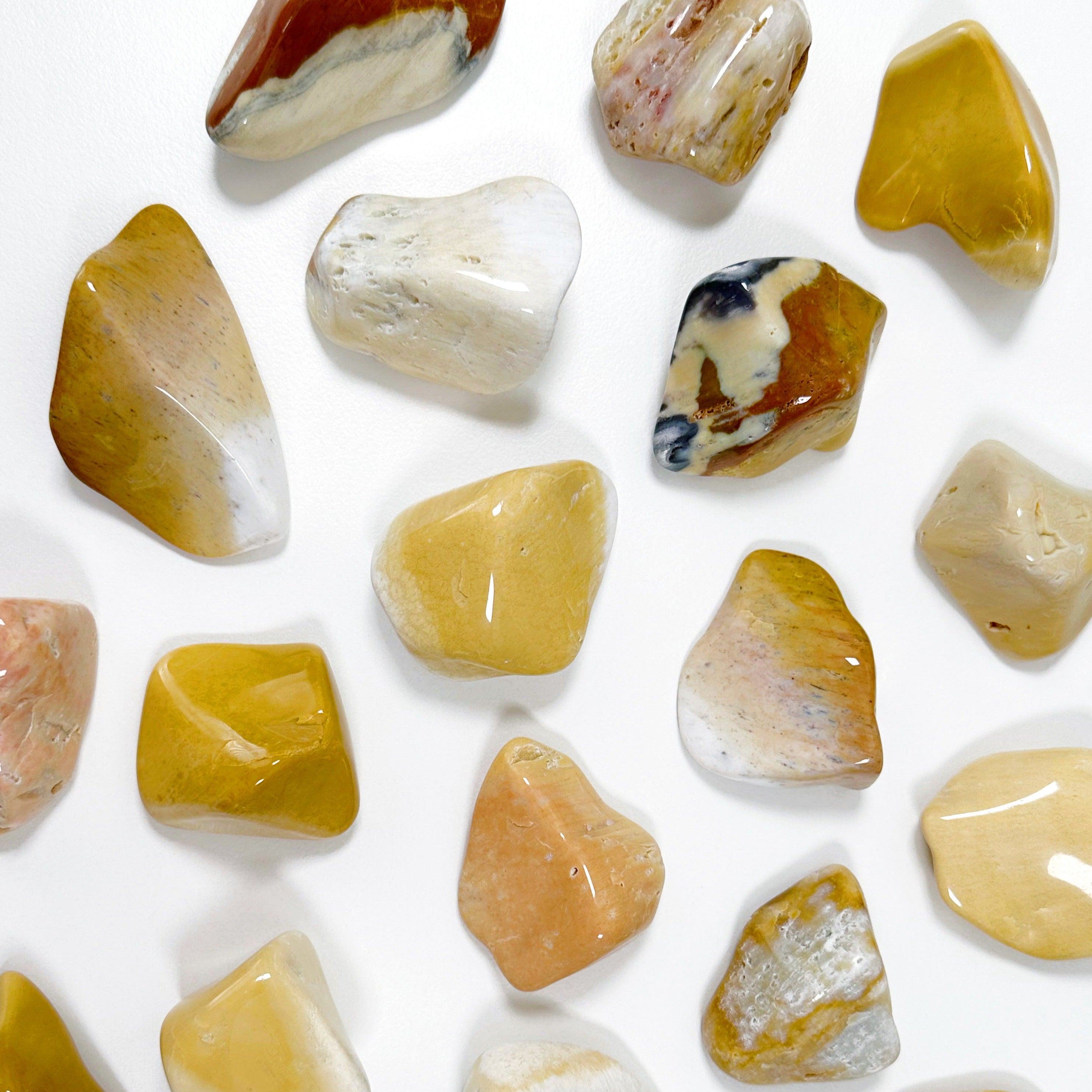 AGATIZED CORAL XL TUMBLE - agatized coral, coral, coral fossil, emotional support, fossil coral, pocket crystal, pocket crystals, pocket stone, recently added, tumble, tumbled, tumbled stone, tumbles - The Mineral Maven