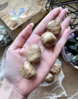 ARAGONITE CHONKY TUMBLE - aragonite, Black Friday sale, bulk, old, pocket crystal, tumble, tumbles - The Mineral Maven