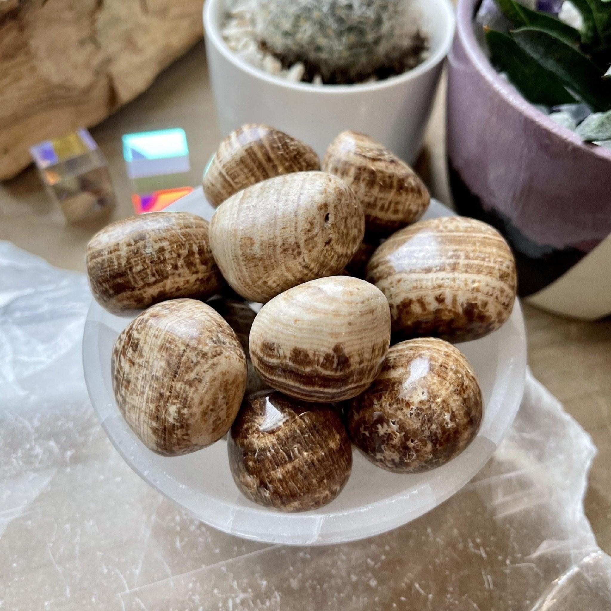 ARAGONITE CHONKY TUMBLE - aragonite, bulk, old, pocket crystal, tumble, tumbles - The Mineral Maven