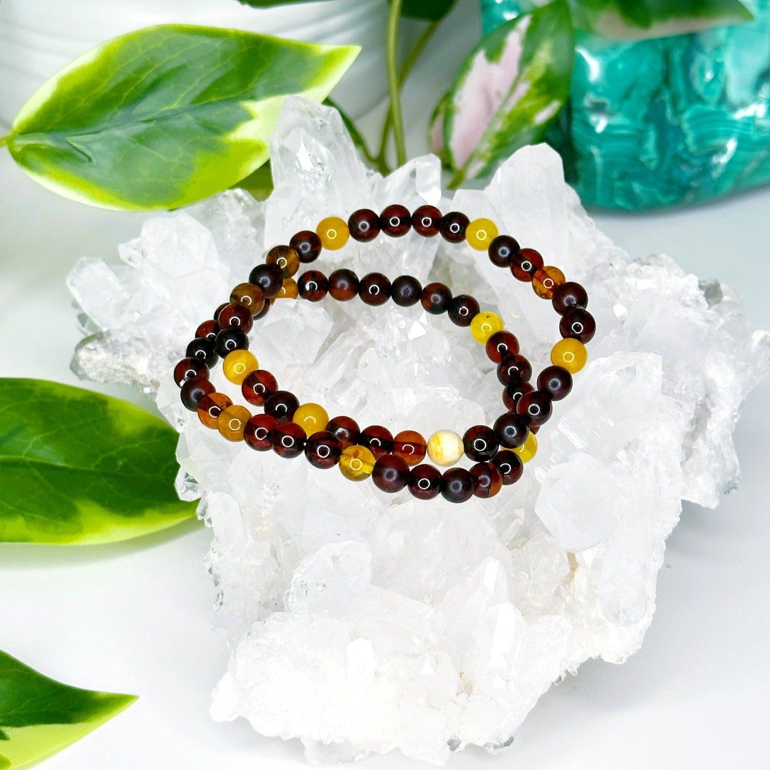 BALTIC AMBER 6mm - HANDMADE CRYSTAL BRACELET - 10 Dec Inventory, 6mm, amber, april astro, aquarius, aquarius stack, baltic amber, bracelet, bracelet inventory check, crystal bracelet, fall-o-ween, fall-o-ween bracelets, handmade bracelet, jewelry, June 2025 inventory check, market bracelet, may day/beltane, single bracelet, summer solstice, Wearable, yellow - The Mineral Maven