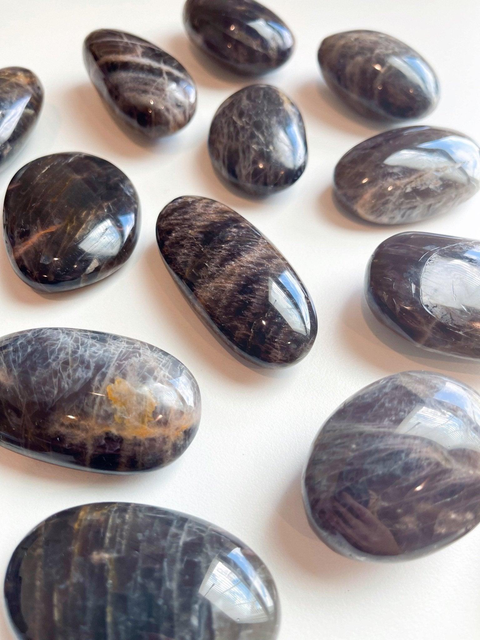 BLACK MOONSTONE PEBBLE - 2025 vibes, Black Friday sale, black moonstone, bulk, creativity, fertility, grounding, moonstone, new beginnings, new beginnings gift bundle, palm stone, pebble, pebbles, pocket crystal, protection, protection gift bundle, solar eclipse, spring equinox, spring things, taurus, taurus season, tumble - The Mineral Maven