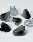 BLUE TARA QUARTZ MINI FROG - blue tara, blue tara quartz, crystal critter, crystal frog, frog, mini frog, quartz - The Mineral Maven