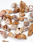 CANTERA (FIRE) OPAL TUMBLE - Black Friday sale, cantera opal, fire opal, good luck + abundance, mexican opal, opal, pocket crystal, pocket crystals, pocket stone, tumble, tumbled, tumbled stone, tumbles - The Mineral Maven