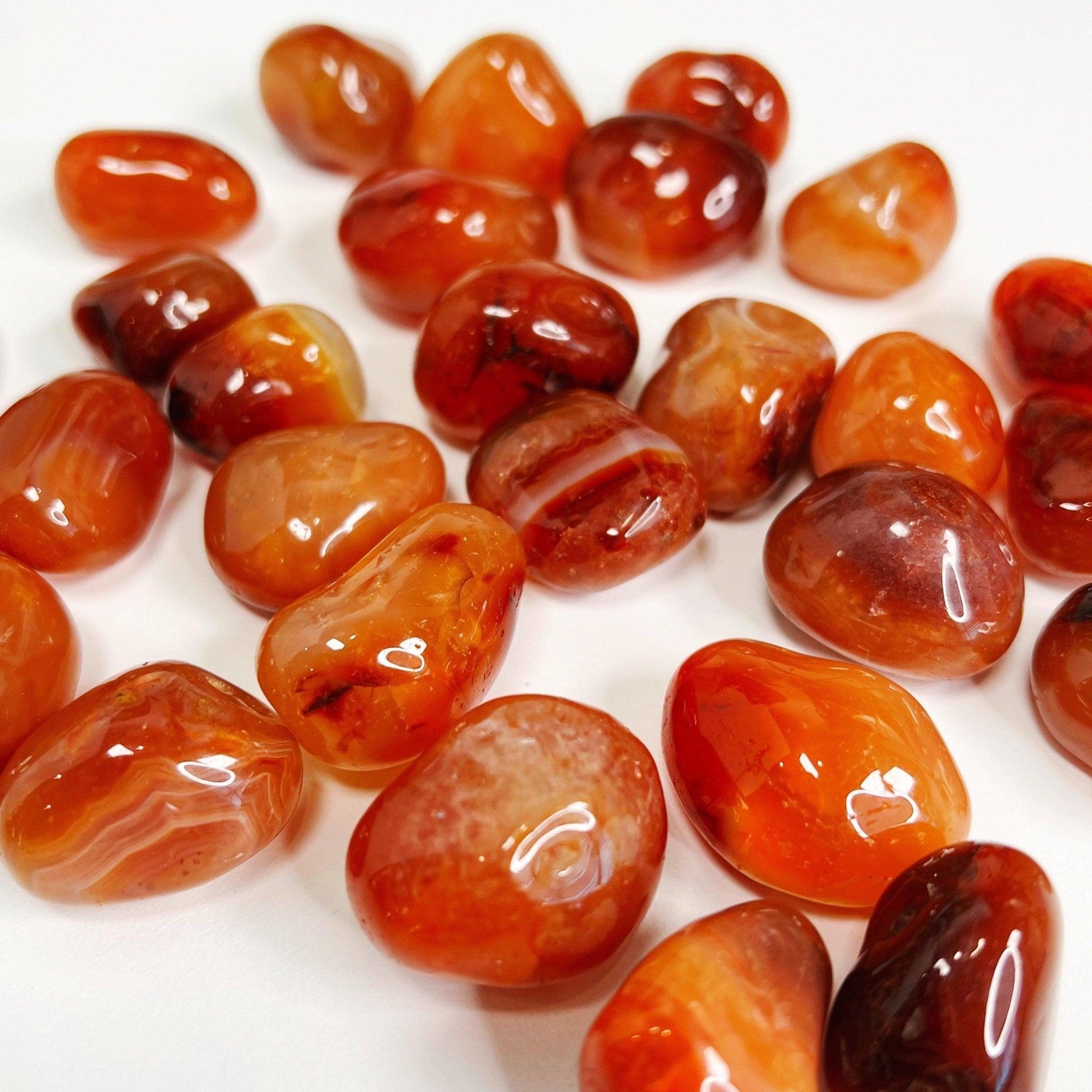 CARNELIAN TUMBLE - 33 bday, 444 sale, carnelian, emotional support, end of year sale, holiday sale, joy gift bundle, new year sale, pocket crystal, pocket stone, tumble, tumbled stone - The Mineral Maven