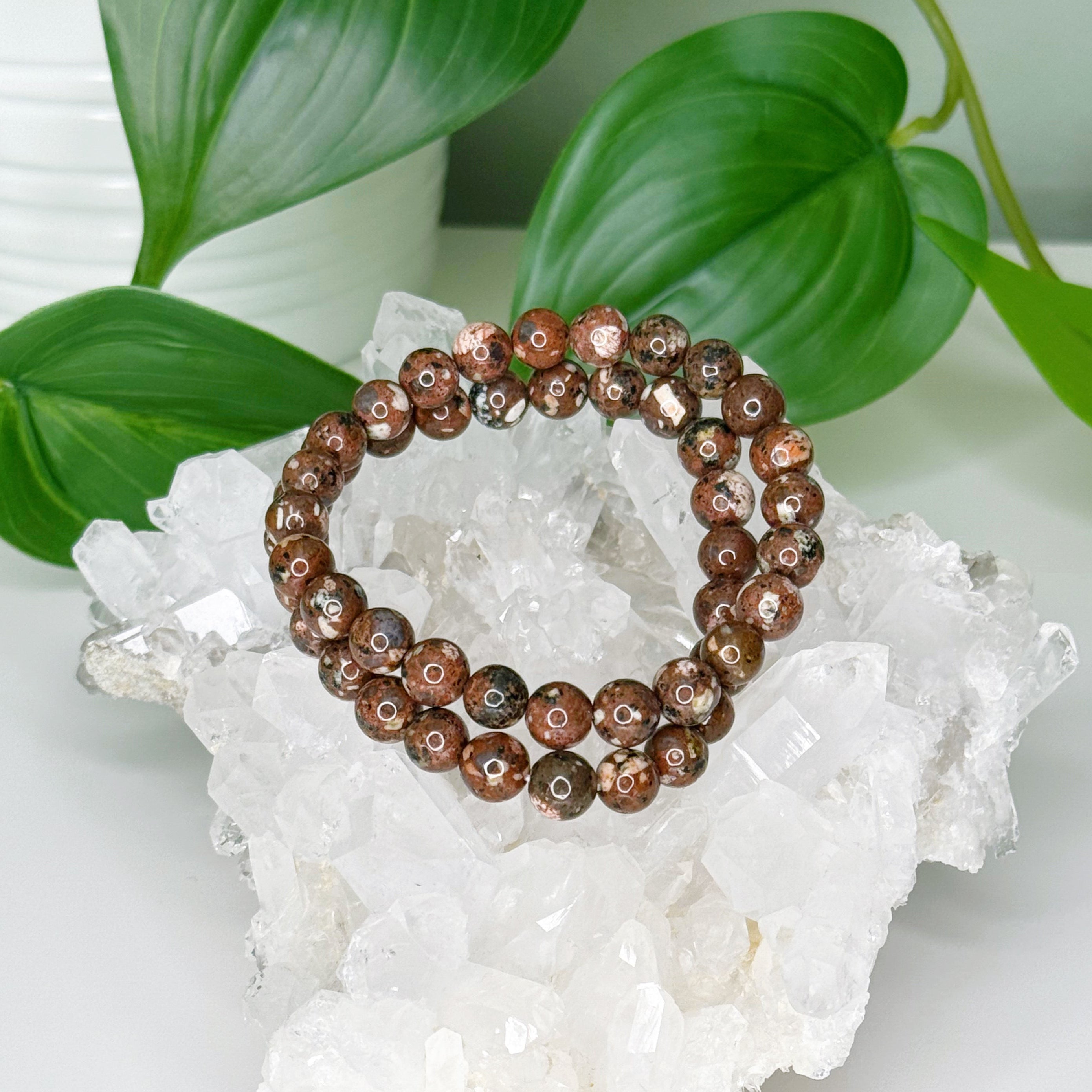 CHOCOLATE BRECCIATED JASPER 8mm - HANDMADE CRYSTAL BRACELET - 8mm, bracelet, career, crystal bracelet, crystals for beginners, earth, handmade bracelet, jewelry, market bracelet, summerween collection, Wearable - The Mineral Maven