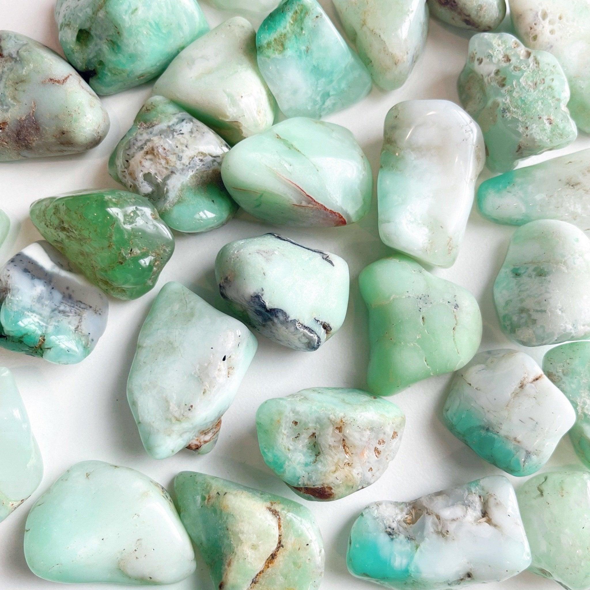 CHRYSOPRASE TUMBLE - Black Friday sale, bulk, chrysoprase, emotional support, fertility, green, joy gift bundle, pebbles, pocket crystal, tumbles - The Mineral Maven