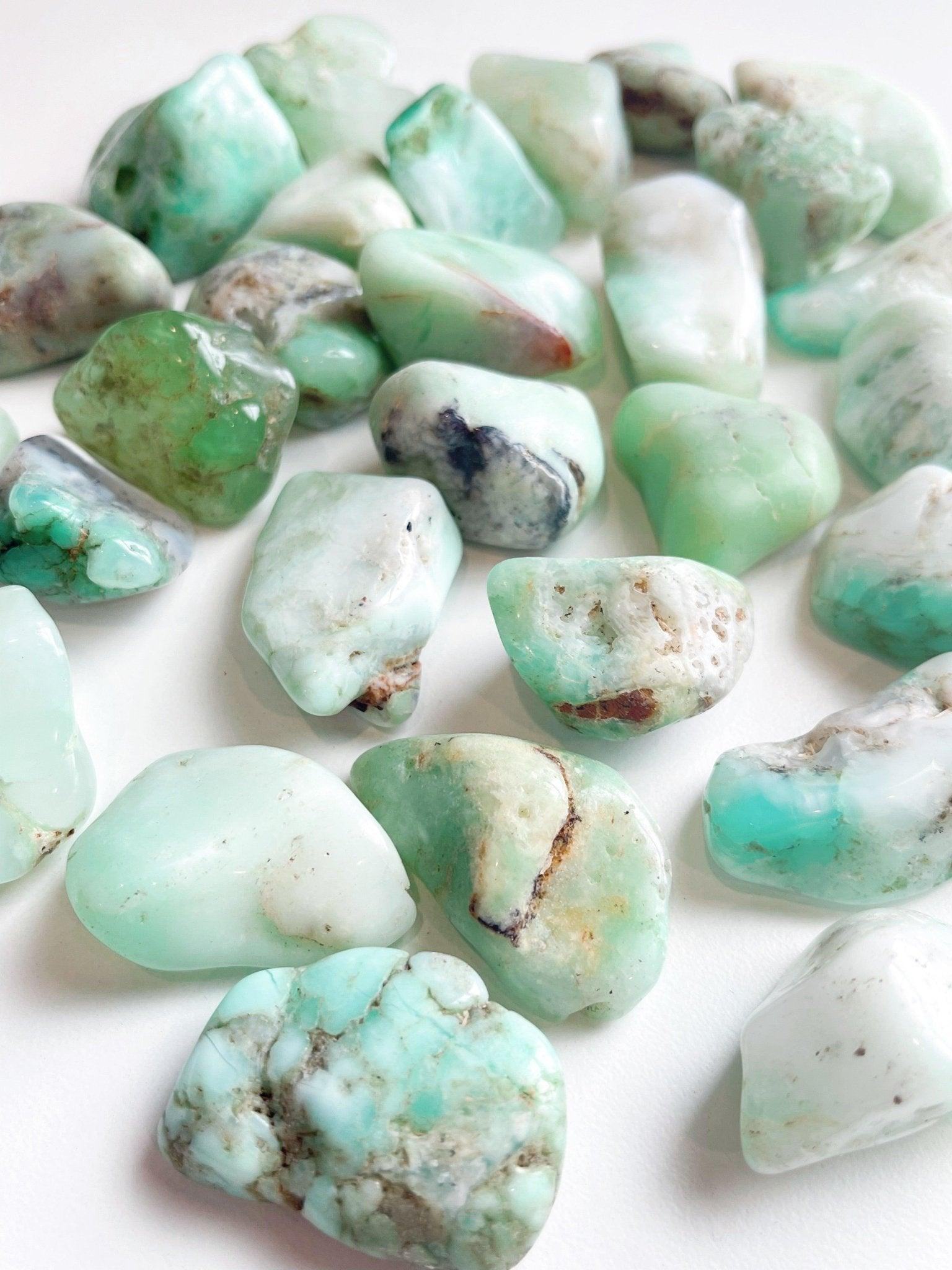 CHRYSOPRASE TUMBLE - Black Friday sale, bulk, chrysoprase, emotional support, fertility, green, joy gift bundle, pebbles, pocket crystal, tumbles - The Mineral Maven