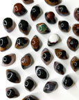 "CYCLOPS SARDONYX" BANDED AGATE - agate, banded agate, Black Friday sale, bulk, cyclops sardonyx, leo season, pocket crystal, pocket crystals, pocket stone, protection gift bundle, sardonyx, Scorpio Season - The Mineral Maven