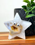 DRUZY AGATE STAR 2 - agate, Black Friday sale, druzy agate, googly agate, googly eye, googly eye agate, one of a kind, star, statement piece - The Mineral Maven